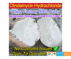 Whatsap:+86 18145728414, 99% Pure Clindamycin hydrochloride/Hcl Powder CAS 21462-39-5 Safe Delivery