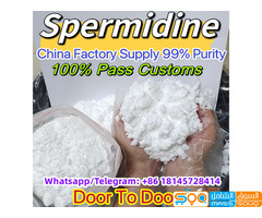 Whatsap:+86 18145728414, 99% Pure Spermidine Trihydrochloride Powder CAS 334-50-9 Safe Delivery