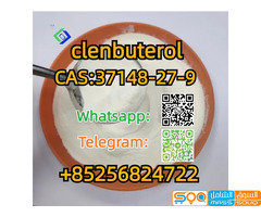 CAS:37148-27-9  clenbuterol