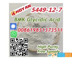 CAS 5449-12-7 BMK Glycidic Acid (sodium salt) Seller 99% BMK Powder - صورة 5