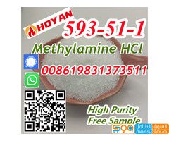 CAS 593-51-1 Methylamine Hydrochloride Methylamine HCl Methylammonium chloride