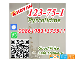 123-75-1 Pyrrolidine tetrahydropyrrole C4H9N Seller Hot Sale Manufacture Price Pyrrolidine Liquid Ch - صورة 1