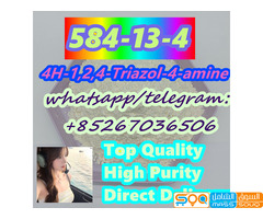 Direct Delivery 584-13-4 4H-1,2,4-Triazol-4-amine