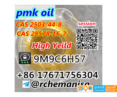 Wts+8617671756304 CAS 28578-16-7 PMK Ethyl Glycidate CAS 2503-44-8 Canada/USA Stock - صورة 4