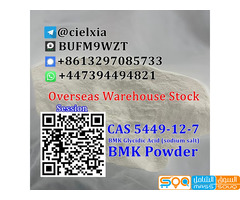 Telegram@cielxia Cheap Price CAS 5449-12-7 New BMK Powder BMK Glycidic Acid (sodium salt)