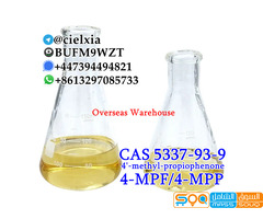 Signal +8613297085733 4-MPF/4-MPP Wholesale Price CAS 5337-93-9 4'-Methylpropiophenone - صورة 1