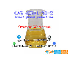 Signal +8613297085733 CAS 49851-31-2 bromo-1-phhenyl-pentan-1-one Manufacturer Supplier