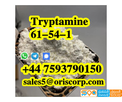 Tryptamine CAS 61-54-1 C10H12N2 powder - صورة 2