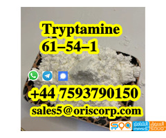 Tryptamine CAS 61-54-1 C10H12N2 powder - صورة 3