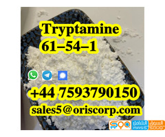 Tryptamine CAS 61-54-1 C10H12N2 powder - صورة 4