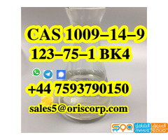 Valerophenone CAS 1009-14-9 colorless liquid - صورة 4