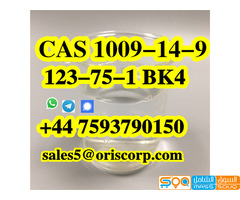 Valerophenone CAS 1009-14-9 colorless liquid - صورة 5