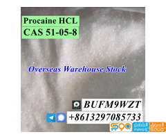 Threema_BUFM9WZT Warehouse delivery CAS 51-05-8 Procaine HCL - صورة 1