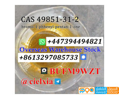 Telegram@cielxia CAS 49851-31-2 bromo-1-phhenyl-pentan-1-one BMF with large stock - صورة 3