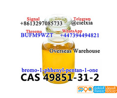 Telegram@cielxia CAS 49851-31-2 bromo-1-phhenyl-pentan-1-one BMF with large stock - صورة 6