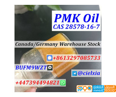 Signal +8613297085733 Safe Delivery CAS 28578-16-7 PMK Ethyl Glycidate CAS 2503-44-8 New Pmk Oil - صورة 4