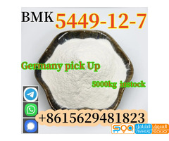 High Quality Glycidic Acid (Sodium Salt) BMK CAS 5449-12-7 Powder