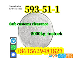 Factory Price CAS 593-51-1 Methylamine Hydrochloride Safe Customs Clearance