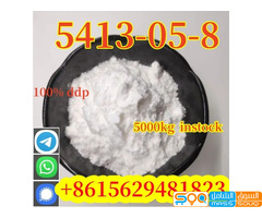 Overseas warehouse rich stock sells good quality BMK powder Ethyl 2-phenylacetoacetate CAS5413-05-8
