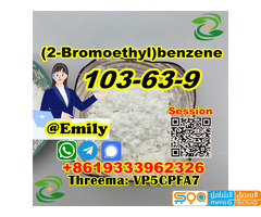 (2-Bromoethyl)benzene CAS 103-63-9 liquid provide Sample Chinese supplier - صورة 1