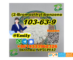 (2-Bromoethyl)benzene CAS 103-63-9 liquid provide Sample Chinese supplier - صورة 2
