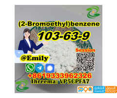 (2-Bromoethyl)benzene CAS 103-63-9 liquid provide Sample Chinese supplier - صورة 3