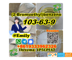 (2-Bromoethyl)benzene CAS 103-63-9 liquid provide Sample Chinese supplier - صورة 4
