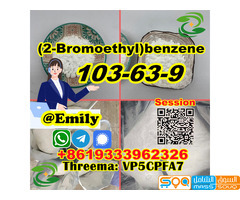(2-Bromoethyl)benzene CAS 103-63-9 liquid provide Sample Chinese supplier - صورة 5