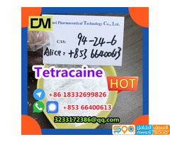 Factory Supply  CAS 94-24-6 High Quality Tetracaine