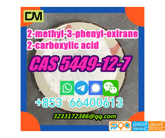 Good Quality Best Price CAS 5449-12-7 2-methyl-3-phenyl-oxirane-2-carboxylic acid