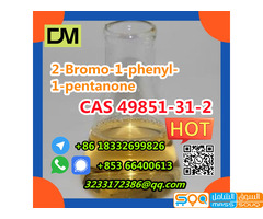 Direct Sales from China Factory CAS 49851-31-2 	2-Bromo-1-phenyl-1-pentanone