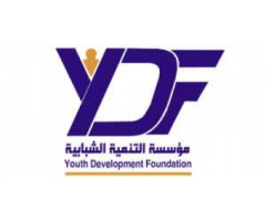 مؤسسة التنمية الشبابية